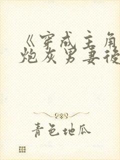 《穿成主角攻的炮灰男妻后》