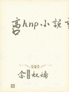 高hnp小说重口