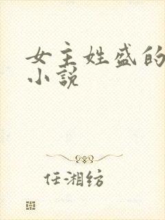 女主姓盛的现代小说