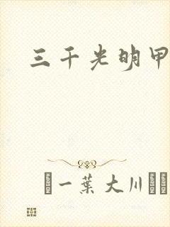 三千光明甲