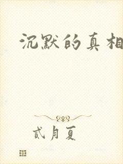 沉默的真相高清封面
