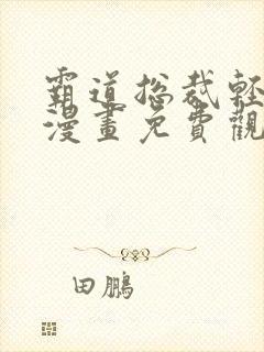 霸道总裁轻点爱漫画免费观看下拉式