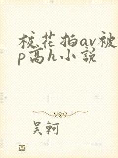 校花拍av被np高h小说