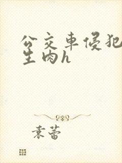 公交车侵犯小男生肉h