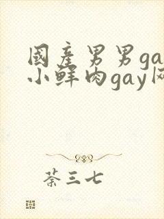 国产男男gay小鲜肉gay网站亚洲