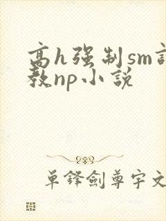 高h强制sm调教np小说