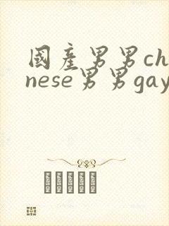 国产男男chinese男男gaygay网站