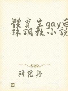 体育生gay白袜调教小说