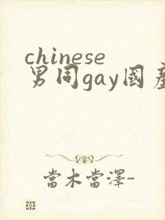 chinese男同gay国产封面