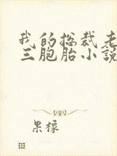 我的总裁老婆是三胞胎小说