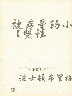 被疼爱的小美人【双性封面