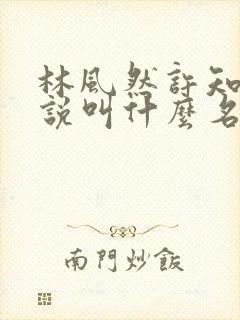 林风然许知唯小说叫什么名字