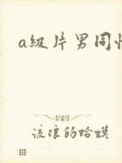 a级片男同性恋