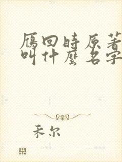 雁回时原著小说叫什么名字封面