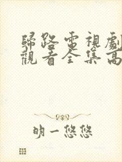 归路电视剧免费观看全集高清完整版封面