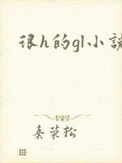 很h的gl小说封面