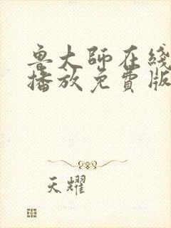 鲁大师在线高清播放免费版电视剧