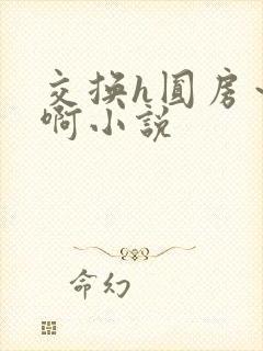 交换h圆房～嗯啊小说封面