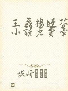 王磊杨晓芬后妈小说免费章节