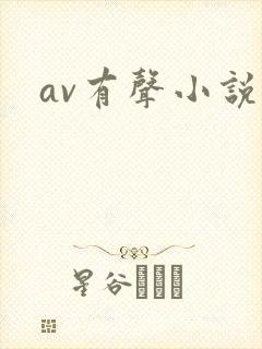 av有声小说封面
