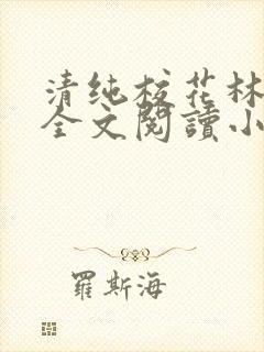 清纯校花林思琪全文阅读小说