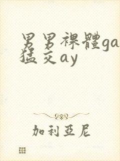 男男裸体gay猛交ay封面