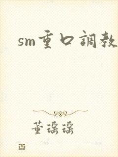 sm重口调教文封面