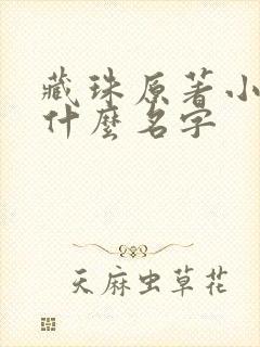 藏珠原著小说叫什么名字