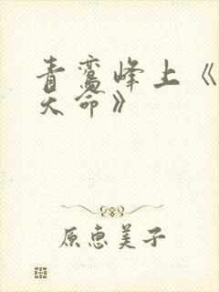 青鸾峰上《无敌天命》