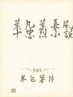叶凡叶长风一门十忠烈小说笔趣阁封面