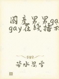 国产男男gaygay在线播放