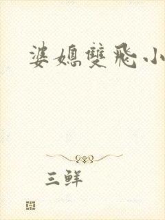 婆媳双飞小说