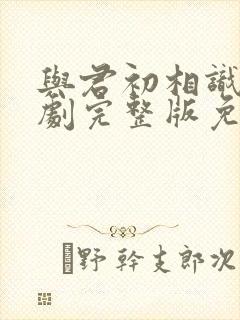 与君初相识电视剧完整版免费观看封面
