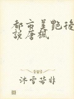 都市美艳后宫小说唐枫