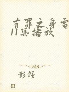 有罪之身电视剧11集播放