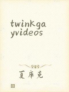 twinkgayvideos