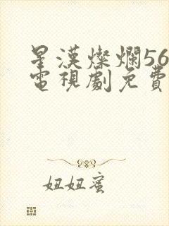 星汉灿烂56集电视剧免费看全集