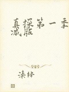 真探第一季未删减版封面
