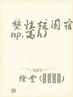 双性校园宿舍(np,高h)