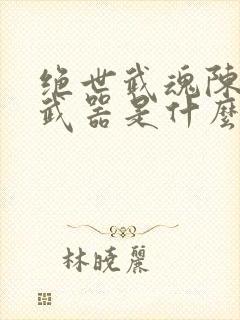 绝世武魂陈枫的武器是什么