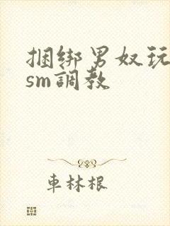 捆绑男奴玩各种sm调教