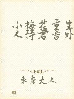 小梅花重生之美人待君番外11