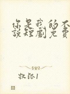 你是我的不可言说短剧免费观看全集