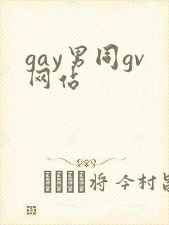 gay男同gv网站