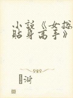 小说《女总裁的贴身高手》封面