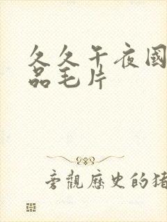 久久午夜国产精品毛片