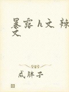 暴露 h文 辣文