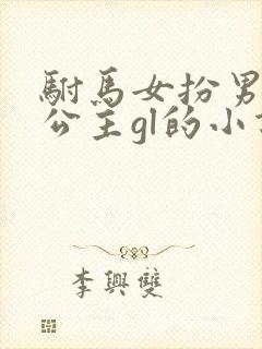 驸马女扮男装娶公主gl的小说封面