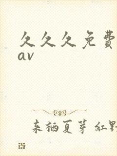 久久久免费极品av封面