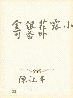 金银花露小说乐可番外